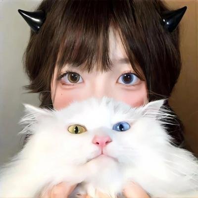 梅珍